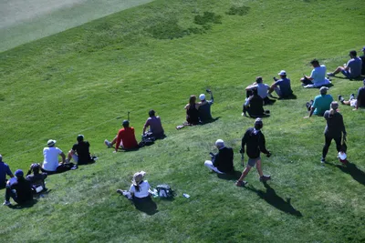 DSC_0745 (Large).JPG